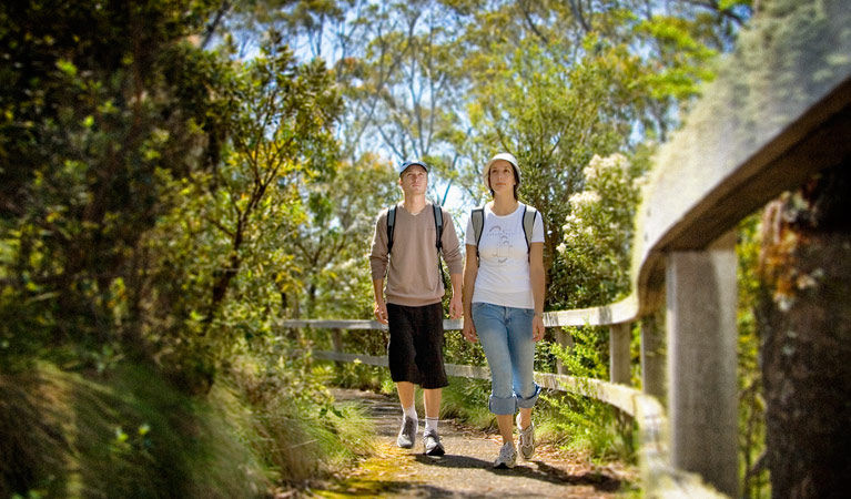 Point lookout walking track, New England National Park. Photo: Michael van Ewijk