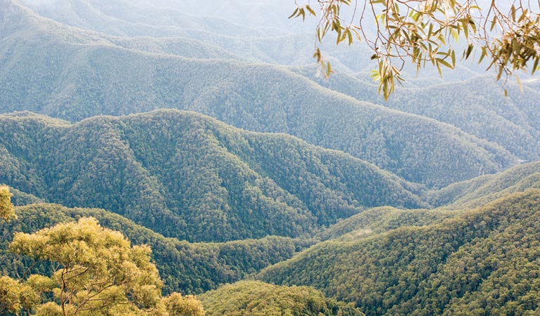 Point lookout, New England National Park. Photo: Michael van Ewijk/NSW Government