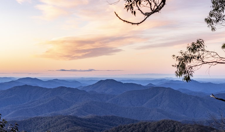 The view from The Chalet in New England National Park. Photo: Mitchell Franzi &copy; DPIE