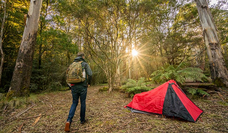 Man heading off on walk from his campsite in New England National Park. Photo: John Spencer/OEH