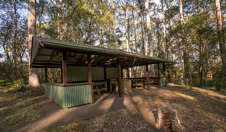 Barbecue shelter at Thungutti campground in New England National Park. Photo: John Spencer/OEH