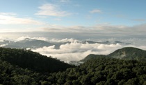 Wrights lookout, New England National Park. Photo: M Dwyer/NSW Government