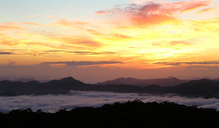 Wrights lookout, New England National Park. Photo: S Leathers/NSW Government