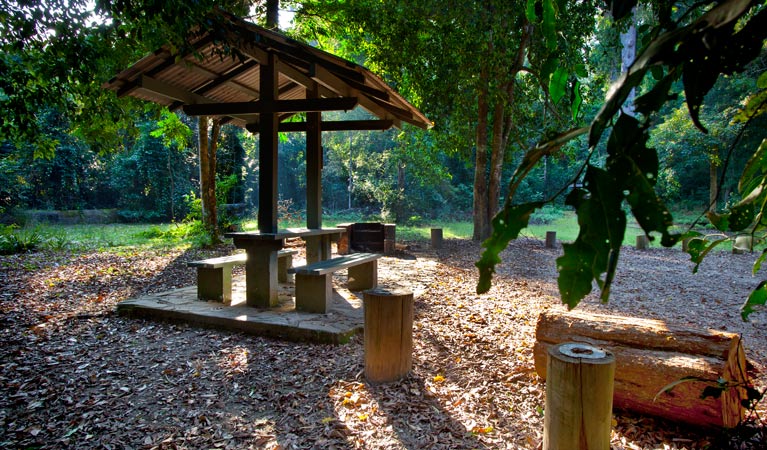 Cedar Park picnic area, Ngambaa Nature Reserve. Photo: Rob Cleary &copy; OEH