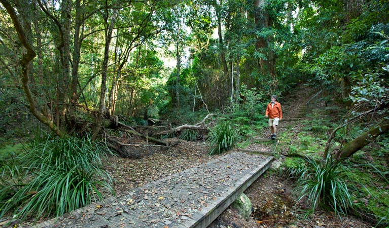 Cedar Park picnic area, Ngambaa Nature Reserve. Photo: Rob Cleary &copy; OEH