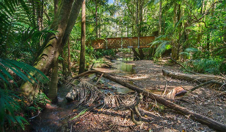 Boggy Creek walk. Photo: John Spencer &copy; OEH