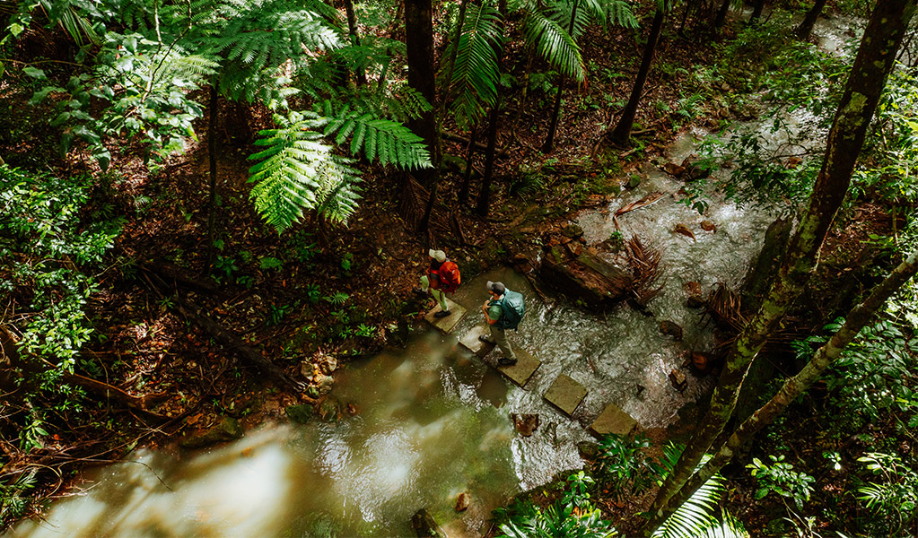 Aerial view of walkers crossing the creek near Unicorn Falls. Credit: Daniel Parsons/DCCEEW © Daniel Parsons