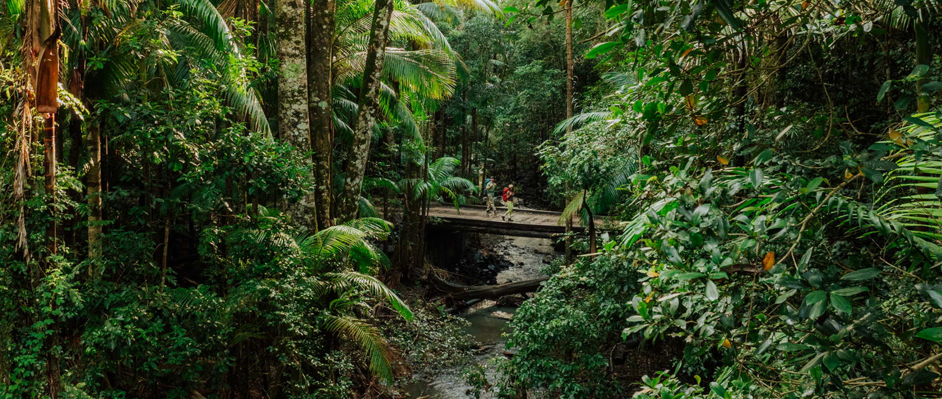 Walkers crossing a small bridge on Gidjuum Gulganyi Walk in Mount Jerusalem National Park. Credit: Daniel Parsons/DCCEEW © Daniel Parsons
