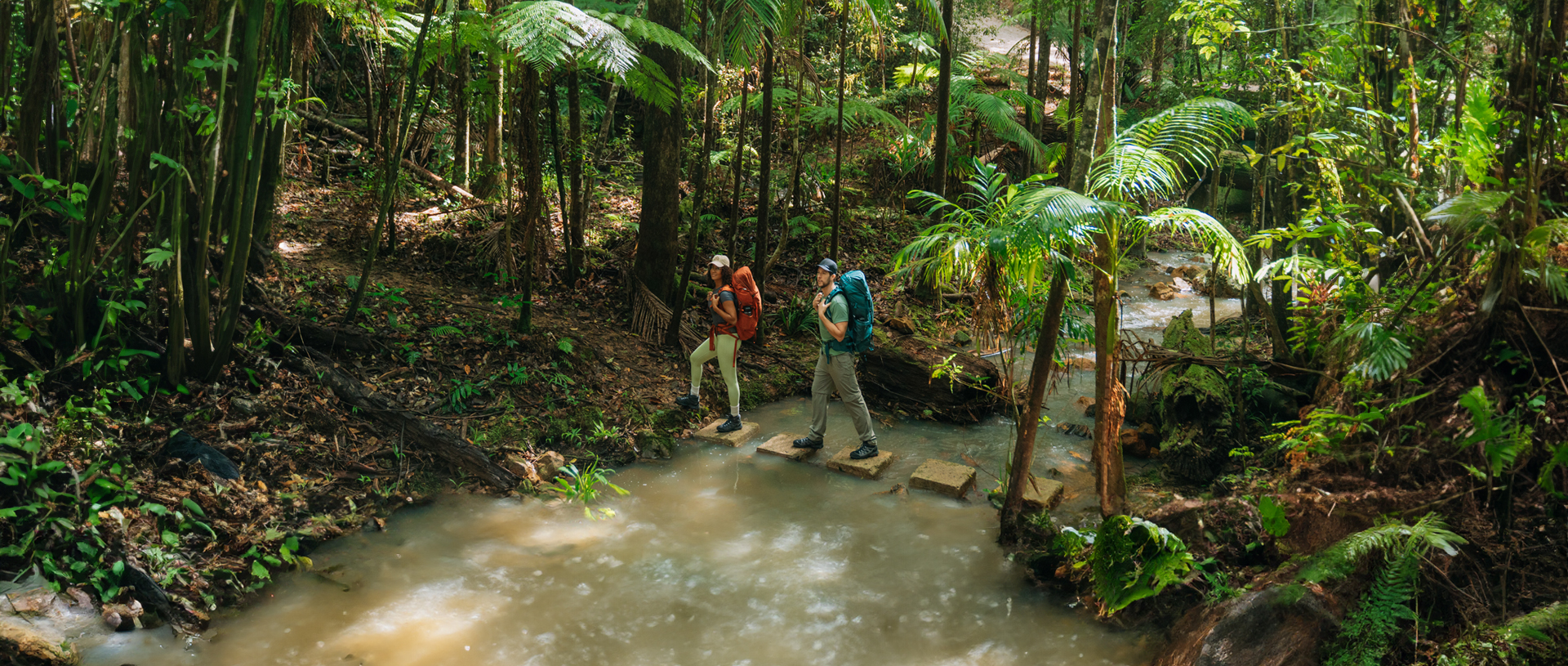 Walkers crossing the creek on stepping stones near Unicorn Falls. Credit: Remy Brand/DCCEEW © Remy Brand