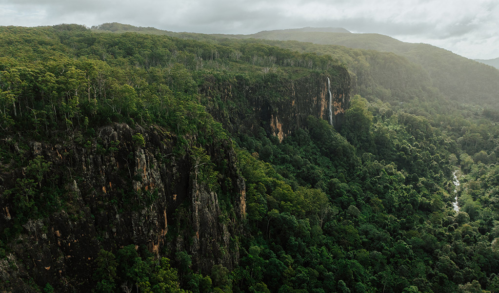 Mountain views from Weeun Ween lookout north. Credit: Daniel Parsons/DCCEEW © Daniel Parsons