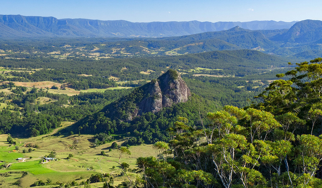 Doughboy and Wollumbin Caldera. Dean Trezise/DCCEEW © Dean Trezise