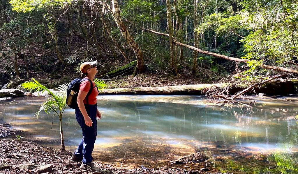 Walker admiring the rainforest. Credit: Connect Adventures