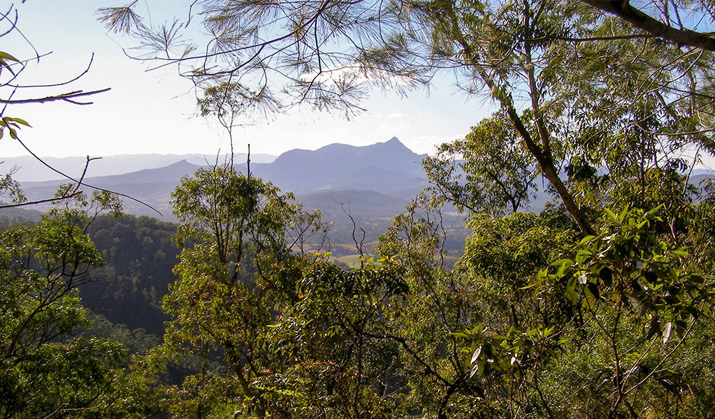 Mountain views on day 2 of Gidjuum Gulganyi Walk. Credit: Brian McLachlan © DCCEEW