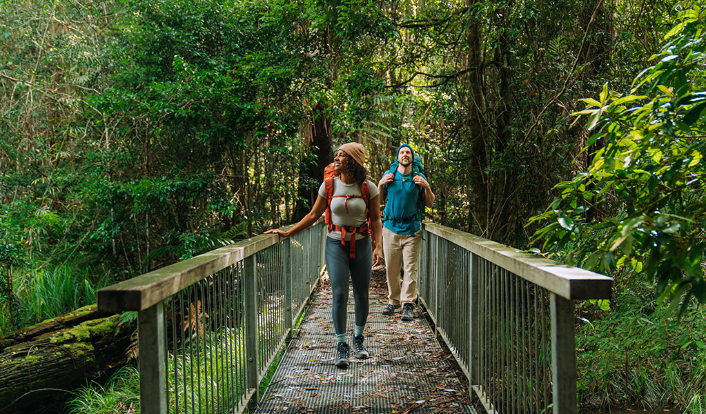 Walkers crossing a small bridge on the Gidjuum Gulganyi Walk. Credit: Remy Brand/DCCEEW &copy; Remy Brand