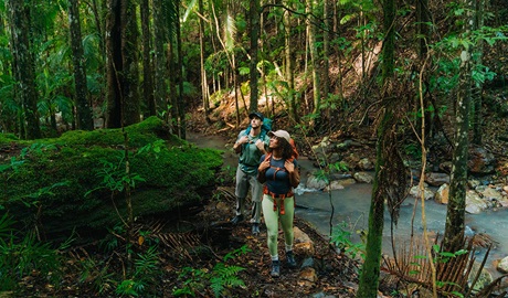 Walkers hiking through dappled forest on day 1 of the Gidjuum Gulganyi Walk. Credit: Remy Brand/DCCEEW &copy; Remy Brand