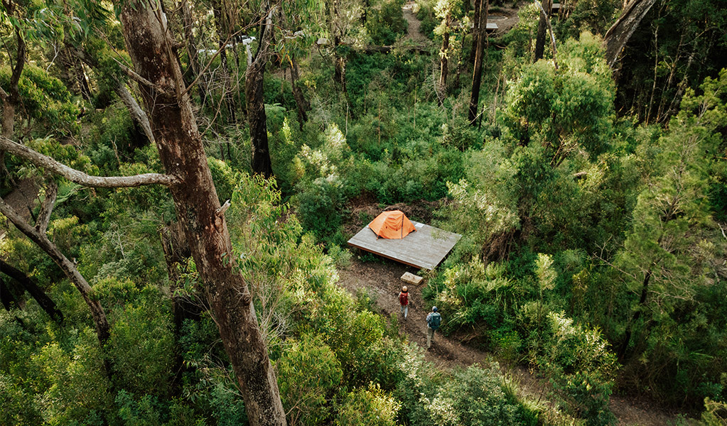 Aerial view of Sand Ridge campground through the trees. Credit: Daniel Parsons/DCCEEW &copy; Daniel Parsons