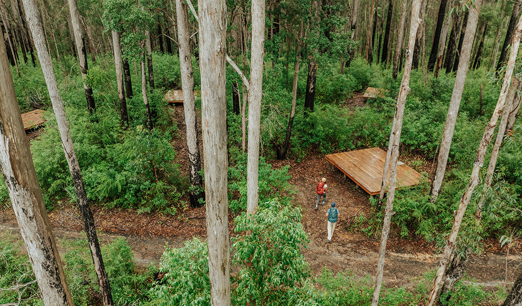 Aerial view of Weeun Weeun campground through the trees. Credit: Daniel Parsons/DCCEEW &copy; Daniel Parsons