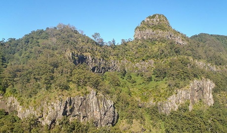 Goorgana walking track, Nightcap National Park. Photo: Brian McLachlan &copy; DPE