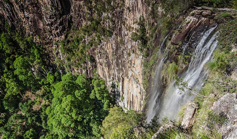 View of Minyon Falls from the lookout. Photo: John Spencer &copy; DPIE