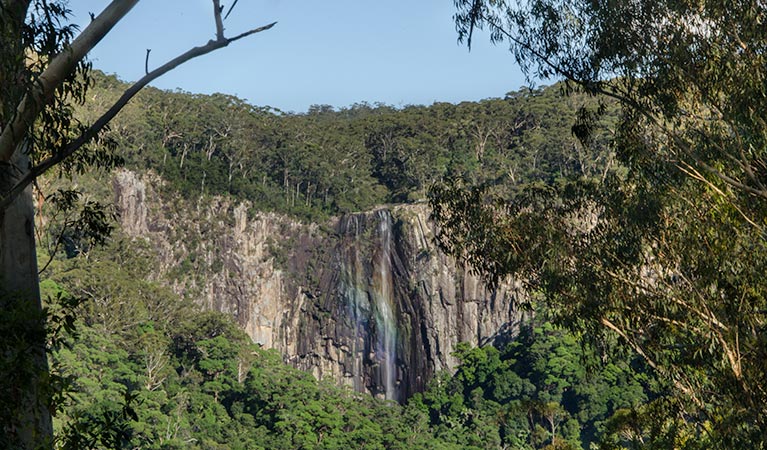 Minyon Falls lookout. Photo: John Spencer