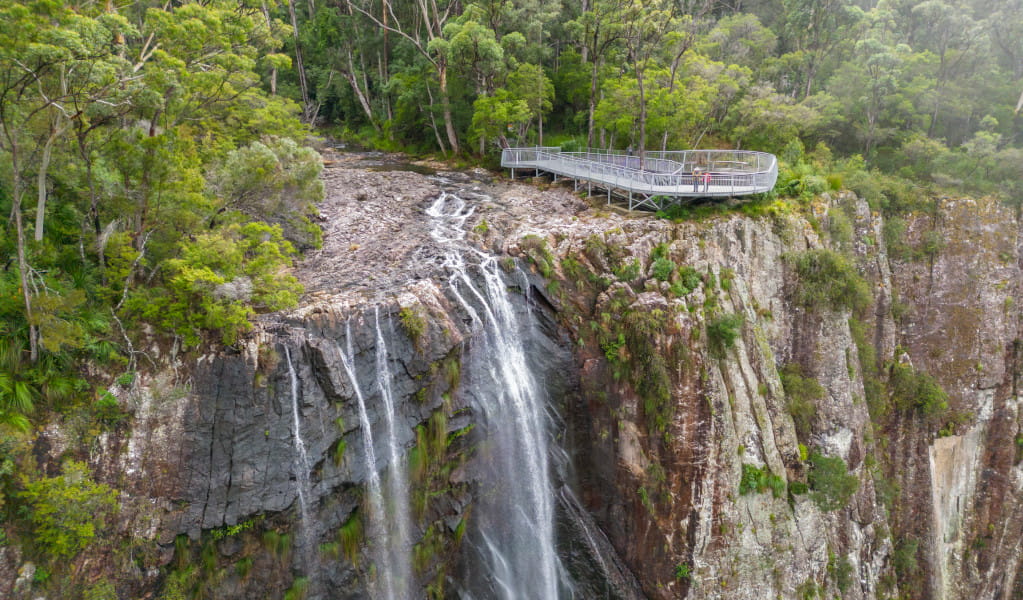 View of Minyon Falls and the lookout in Nightcap National Park. Credit: John Spencer &copy; DPE