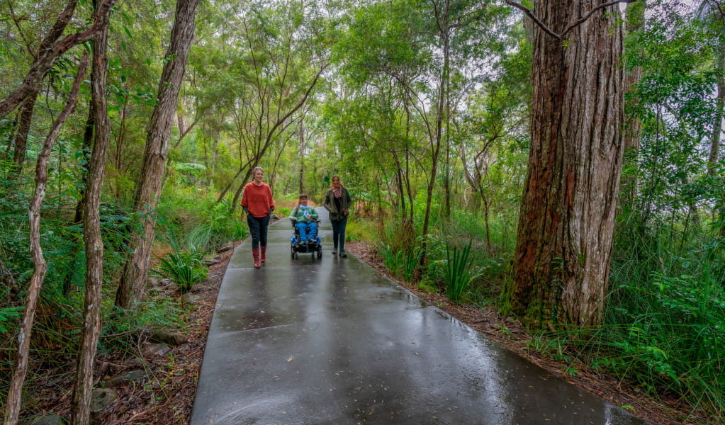 Visitors on the accessible path leading to Minyon Falls lookout. Credit: John Spencer &copy; DPE