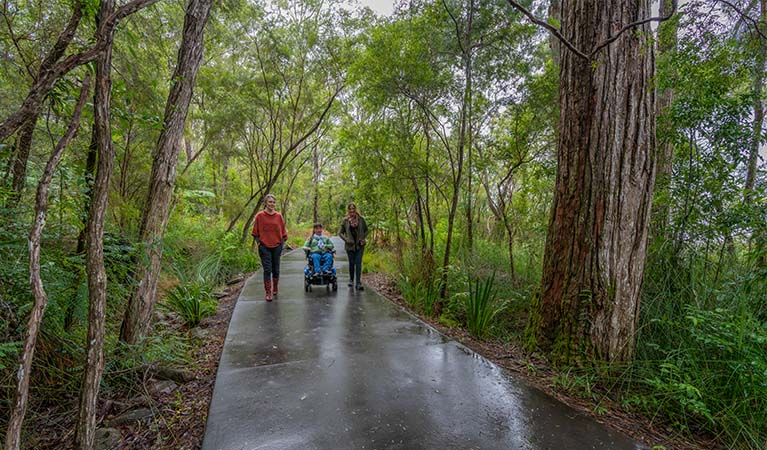 The approach to Minyon Falls lookout in Nightcap National Park. Photo credit: Jimmy Malecki &copy; DPIE