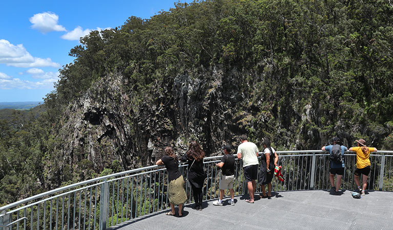 The picnic area at Minyon Falls lookout in Nightcap National Park. Photo credit: Barbara Webster &copy; DPIE