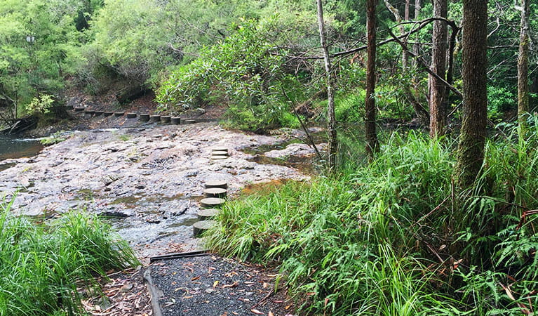 Stepping stones across the creek on Minyon Falls walking track. Photo: Natasha Webb &copy; DPIE
