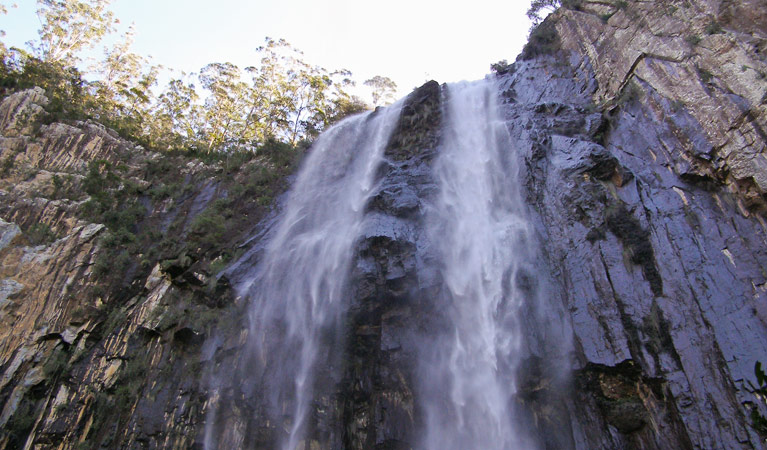 Minyon Falls walking track, Nightcap National Park. Photo: Brian McLachlan &copy; DPIE