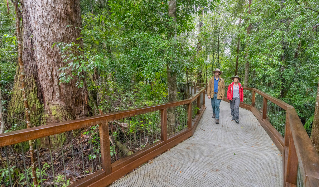 Walkers on Minyon Falls walking track. Credit: John Spencer &copy; DPE