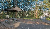 Minyon Grass picnic area, Nightcap National Park. Photo: B. McLachlan