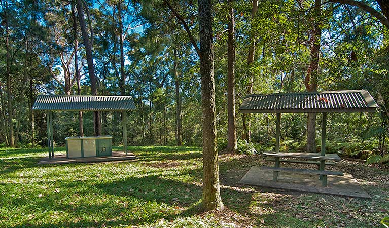 Minyon Grass picnic area, Nightcap National Park. Photo: B. McLachlan