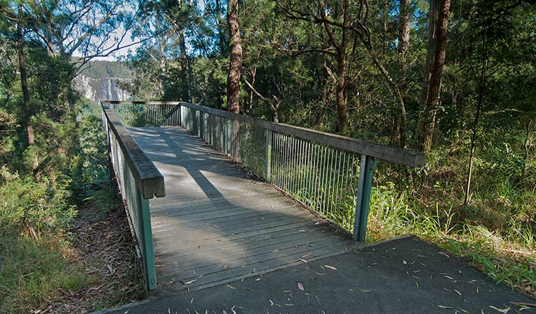 Minyon Grass picnic area, Nightcap National Park. Photo: Brian McLachlan  &copy; DPIE