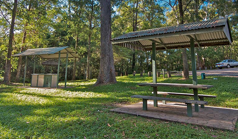 Minyon Grass picnic area, Nightcap National Park. Photo: B. McLachlan