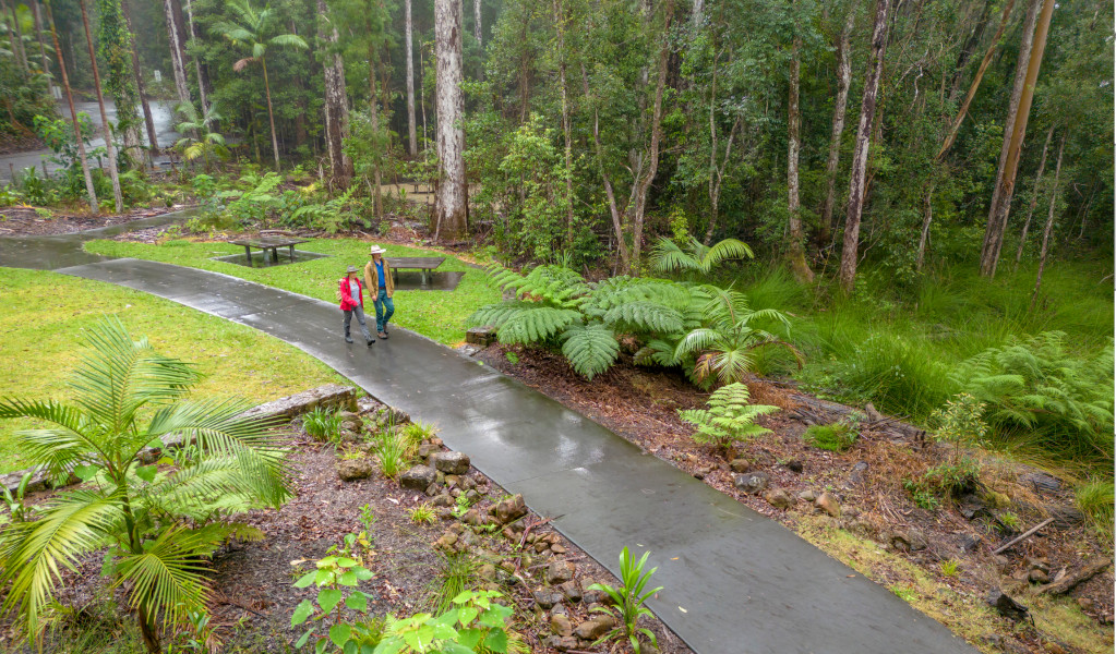 Visitors walking on paved pathway at Minyon Falls picnic area. Credit: John Spencer &copy; DPE