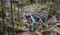Walkers pause to admire a small waterfall, Protestors Falls walking track, Nightcap National Park. Photo: John Spencer/DCCEEW