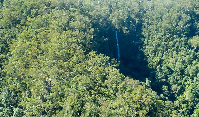 Protestors Falls walking track, Nightcap National Park. Photo: Brian McLachlan &copy; DPE