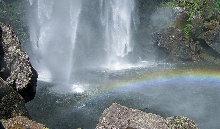 Protestors Falls walking track, Nightcap National Park. Photo: Brian McLachlan &copy; DPE