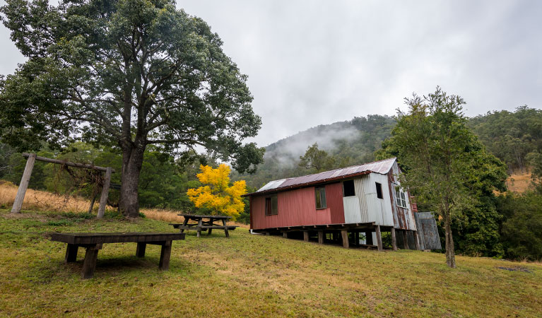 Jacky Barkers campground, Nowendoc National Park. Photo: John Spencer/NSW Government