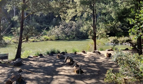 Campsites by the Nymboida River at Cod Hole campground and picnic area in Nymboi-Binderay National Park. Credit: Kit King &copy; DCCEEW