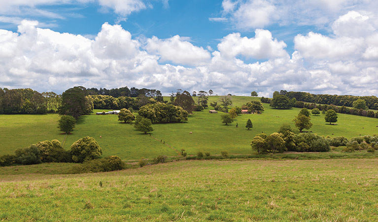 Rural scenery near Dorrigo along Moonpar Forest drive, Nymboi-Binderay National Park. Photo: Robert Cleary &copy; Robert Cleary