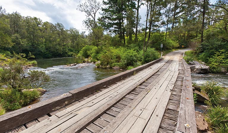 A timber single-lane bridge across a river in Nymboi-Binderay National Park. Photo: Robert Cleary & copy; Robert Clearly