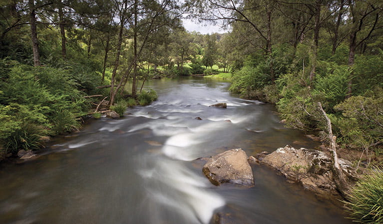Water rushes over rocks in the Nymboida River in Nymboi-Binderay National Park. Photo: Robert Cleary &copy; Robert Cleary