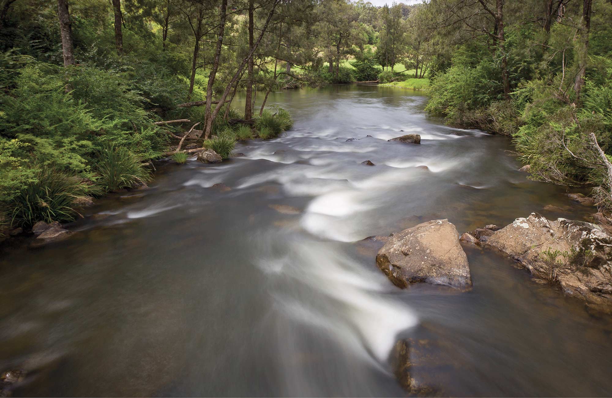 Water rushes over rocks in the Nymboida River in Nymboi-Binderay National Park. Photo: Robert Cleary &copy; Robert Cleary