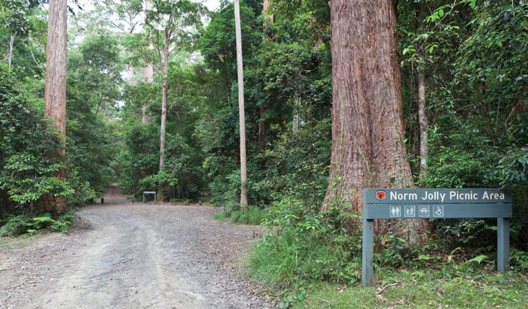 Norman Jolly Picnic Area, Nymboi-Binderay National Park. Photo &copy; Rob Cleary