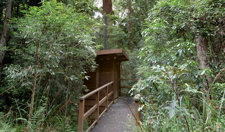 Norman Jolly Picnic Area, Nymboi-Binderay National Park. Photo &copy; Rob Cleary