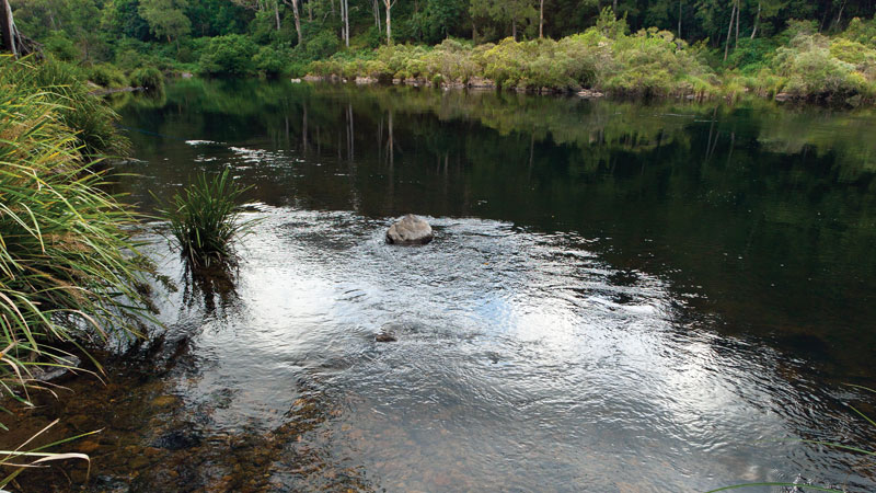 Nymboida River, Nymboi-Binderay National Park. Photo: &copy; Rob Cleary