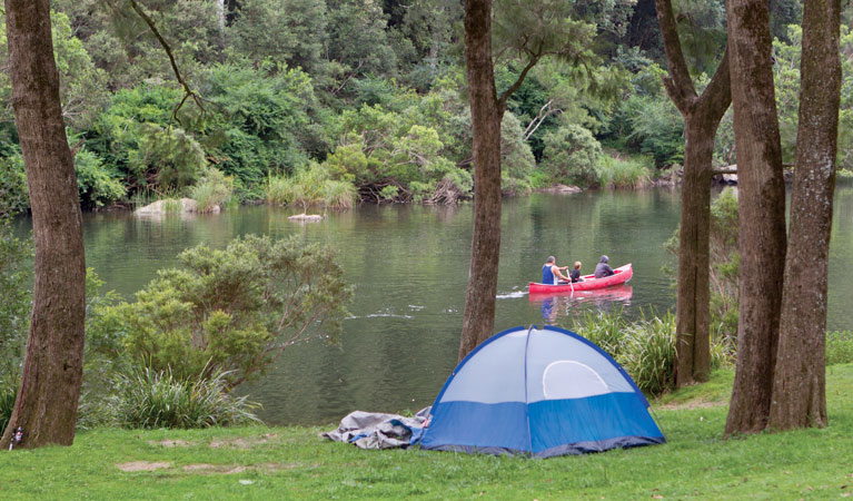 Platypus Flat campground, Nymboi-Binderay National Park. Photo: Rob Cleary/NSW Government