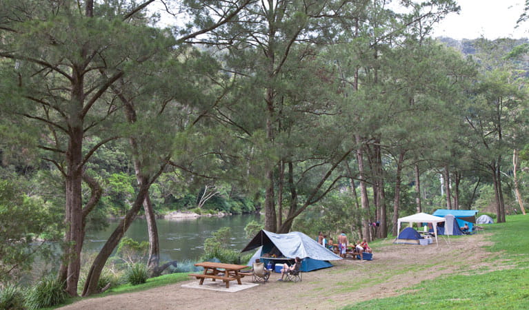 Platypus Flat campground, Nymboi-Binderay National Park. Photo: Rob Cleary